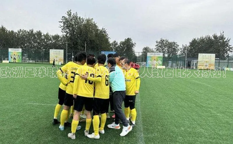 beat365唯一官网入口百度人工翻译欧洲足球联赛中职业运动员人数占比大揭秘！