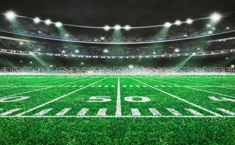 beat365唯一官网入口宣亚国际绿茵激战：宁德市第七届运动会精彩回顾与展望