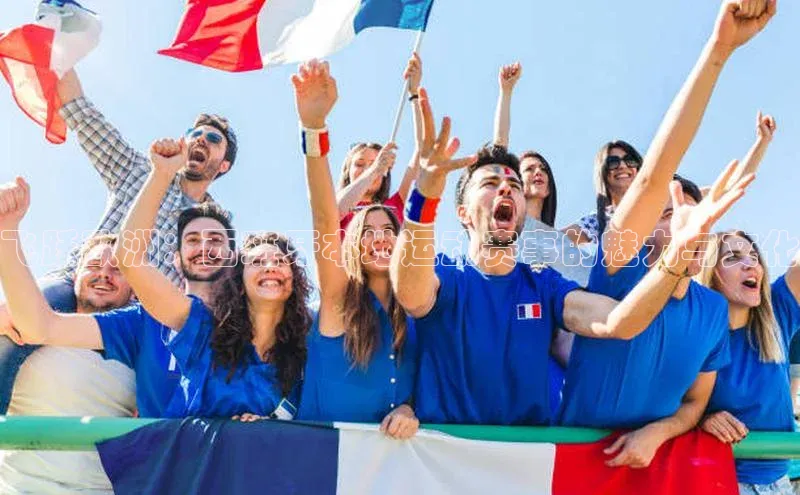 飞跃欧洲：西班牙本地运动赛事的魅力与文化