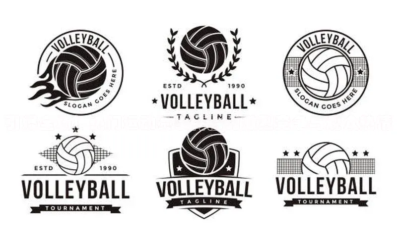 引爆全场！热门运动赛事背后的激烈竞争与观众热情