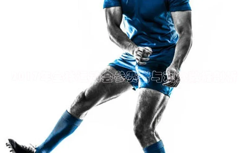 2017年全球运动会参赛者与观众数据剖析