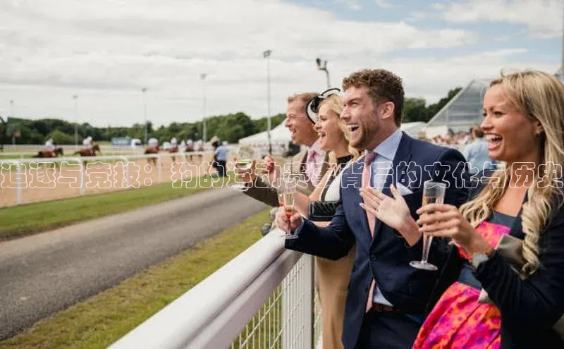 追逐与竞技：狗的运动赛事背后的文化与历史