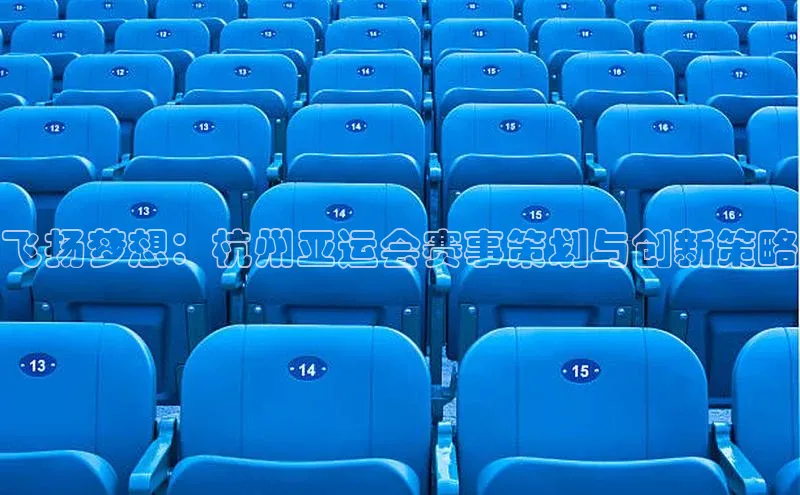 飞扬梦想：杭州亚运会赛事策划与创新策略