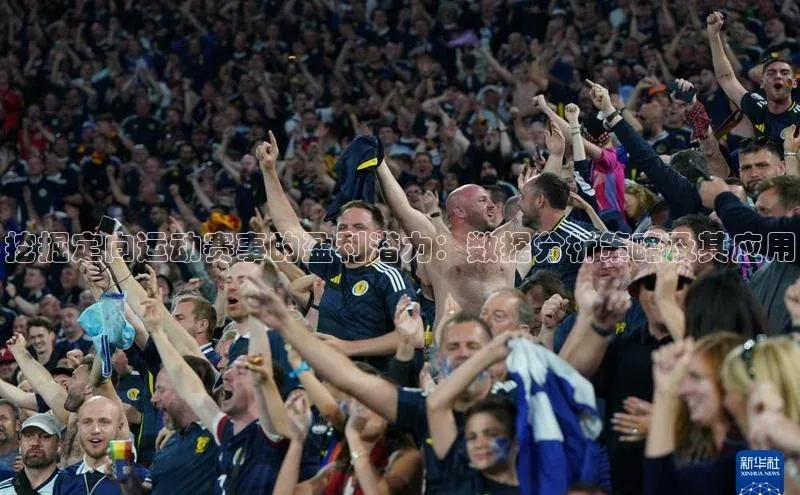 挖掘定向运动赛事的盈利潜力：数据分析策略及其应用