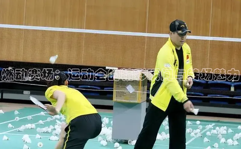 燃动赛场：运动会的精彩瞬间与转场魅力