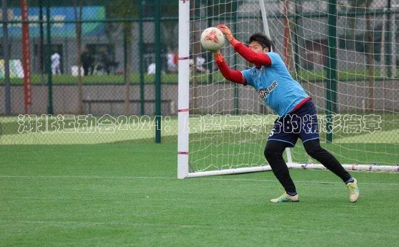 湖北运动会2024：展望与筹备的精彩篇章