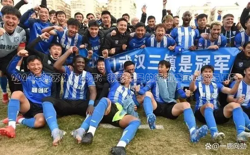 2024年江苏体育盛事：精彩纷呈的运动盛宴回顾与展望