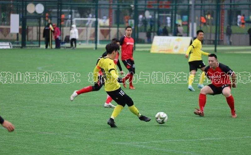 鞍山运动盛事：城市活力与健康生活的新篇章