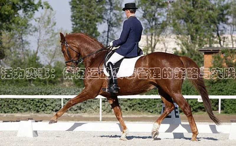 活力赛事：休闲运动赛事管理的策略与实践