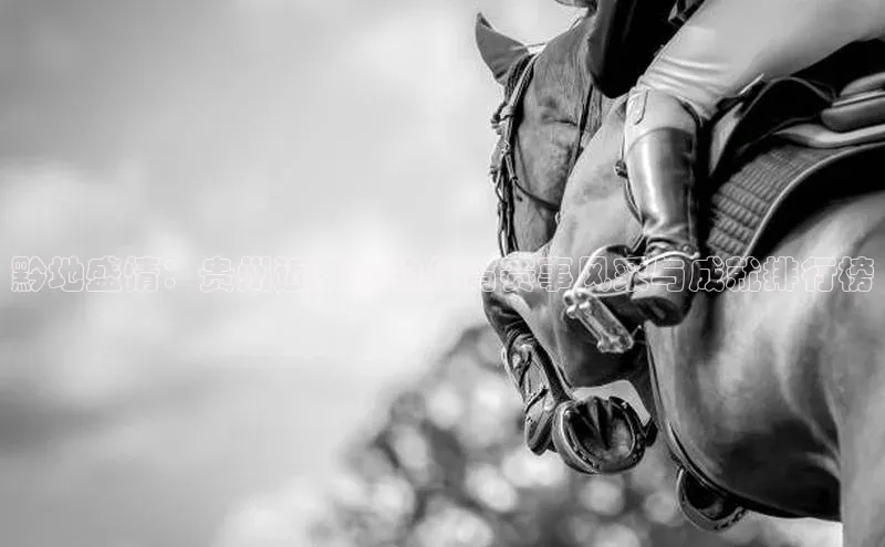 黔地盛情：贵州近年来的体育赛事风采与成就排行榜