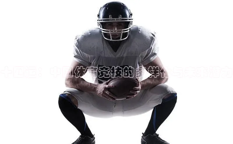 十四运：中国体育竞技的多样化与未来潜力